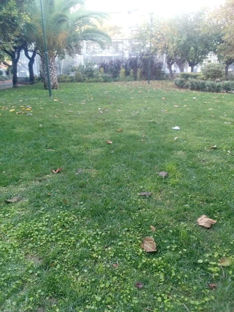 دليل سياحي - أثينا - اليونان - صورة 3