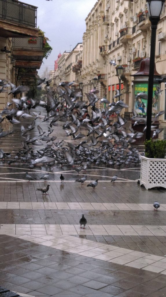 صورة شارع نظامي في باكو